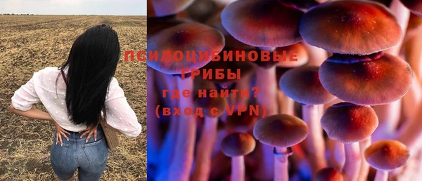 гашик Горно-Алтайск